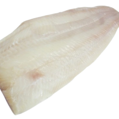 Філе палтуса с/м