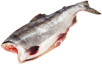 Горбуша свіжоморожена б/г патрана