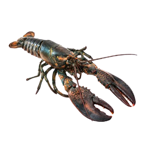 Лобстер варено-морожений цілий  350-550(р)