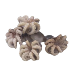 Малюк восьминіг с/м,  40-60(рр.)