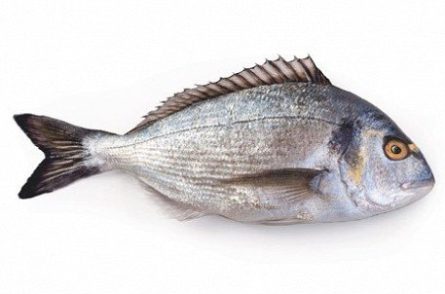 Дорадо охолоджена  600-800(р) Турція