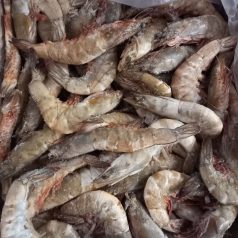 Королівська креветка в панцирі с/м розмір 20/30